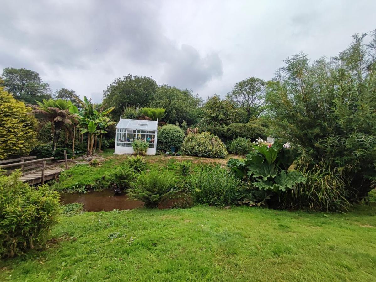 Tree Fern Barn Villa St Austell Buitenkant foto