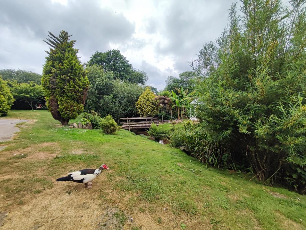Tree Fern Barn Villa St Austell Buitenkant foto